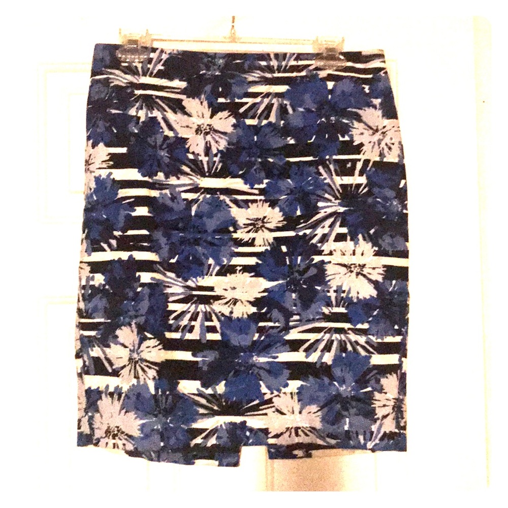 Ann Taylor Skirt for Work